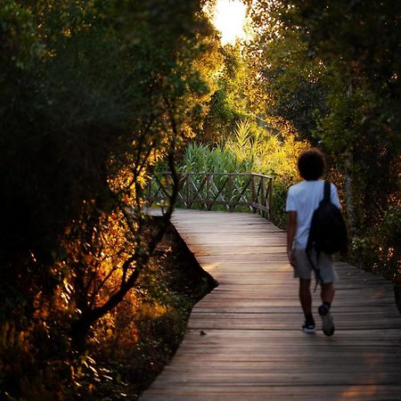 A Saboeira - Turismo Rural Villa Belver  Ngoại thất bức ảnh