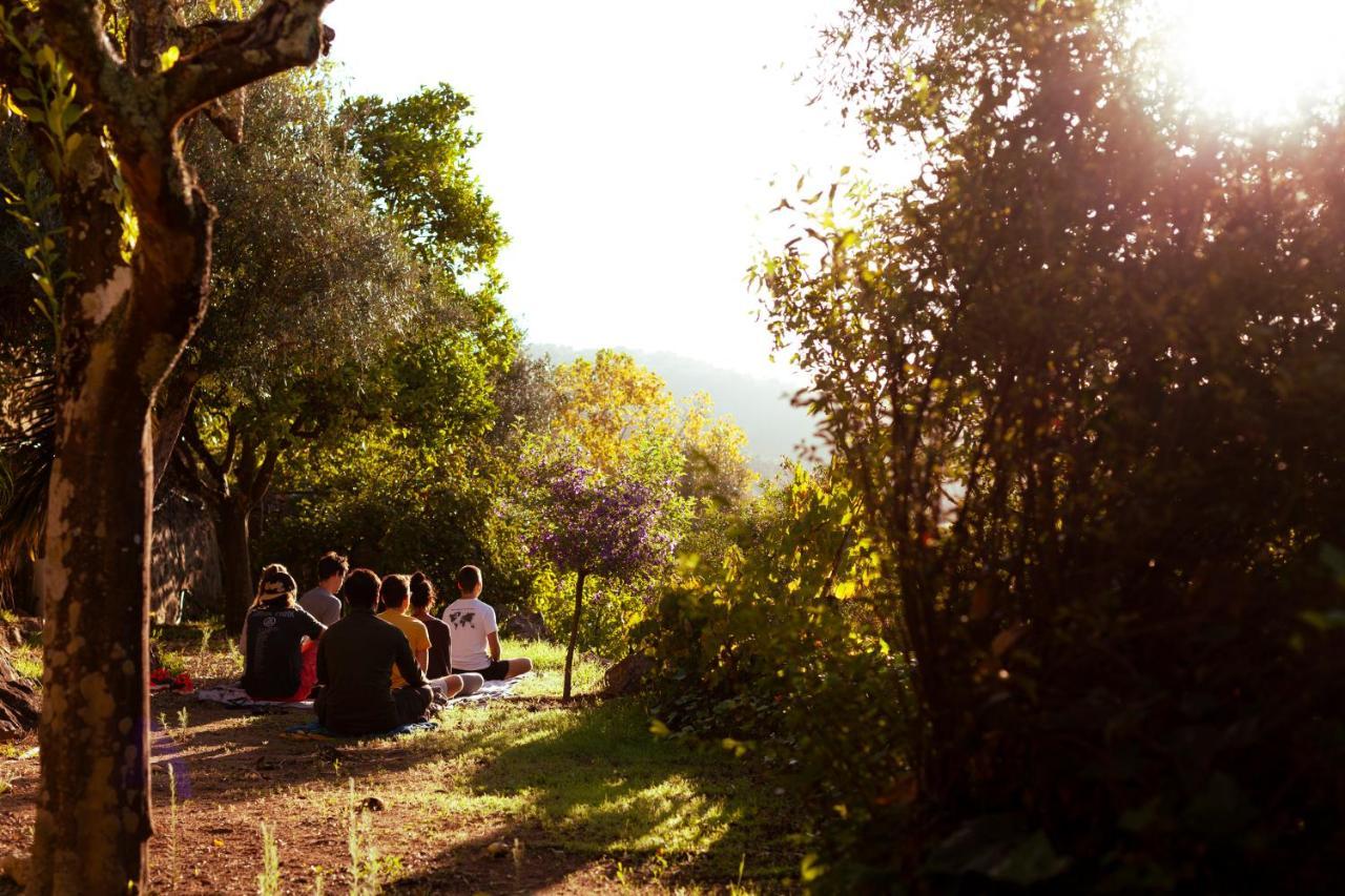 A Saboeira - Turismo Rural Belver  Ngoại thất bức ảnh