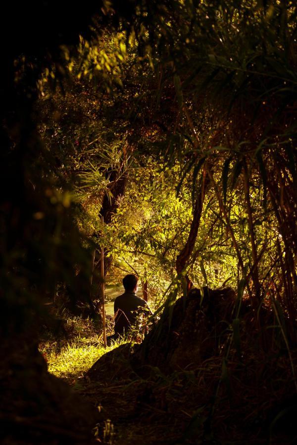 A Saboeira - Turismo Rural Belver  Ngoại thất bức ảnh