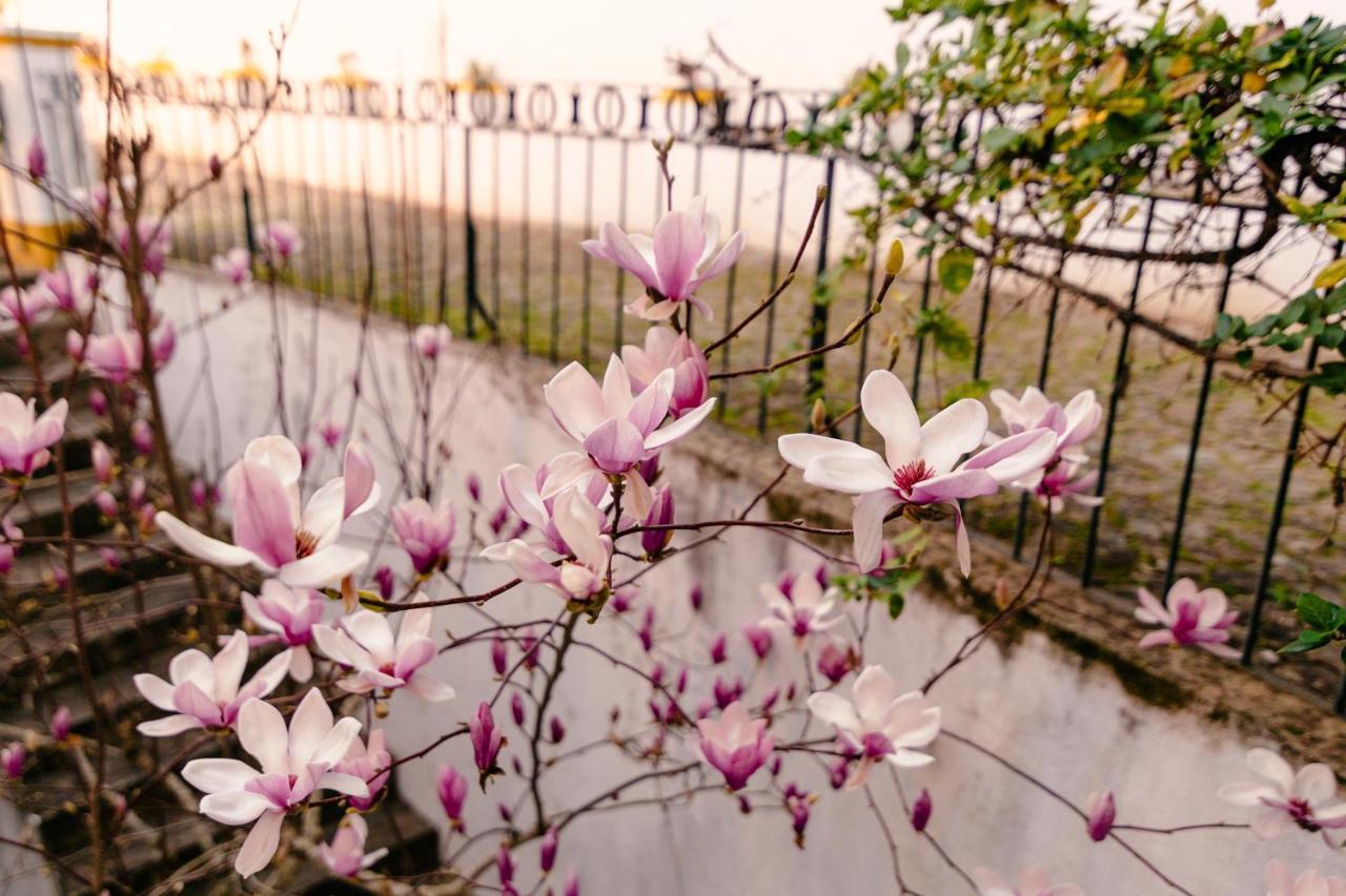 A Saboeira - Turismo Rural Villa Belver  Ngoại thất bức ảnh