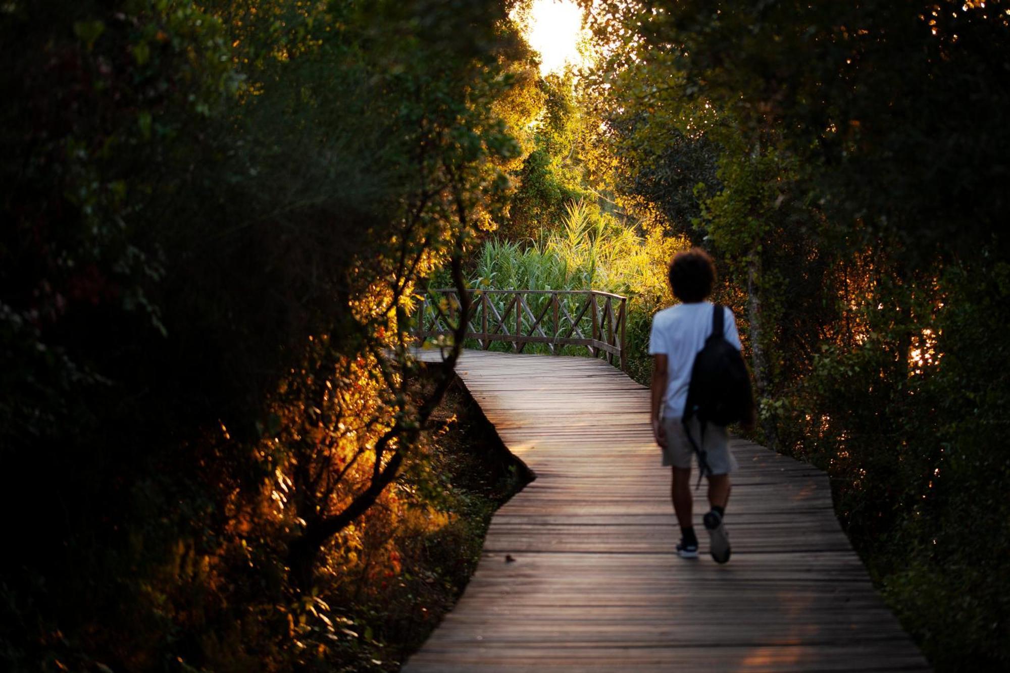 A Saboeira - Turismo Rural Belver  Ngoại thất bức ảnh